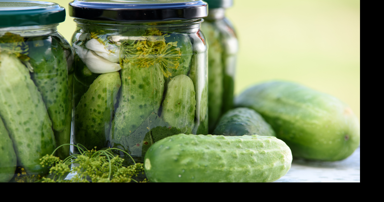 Mississippi Pickle Fest coming to Jackson in June