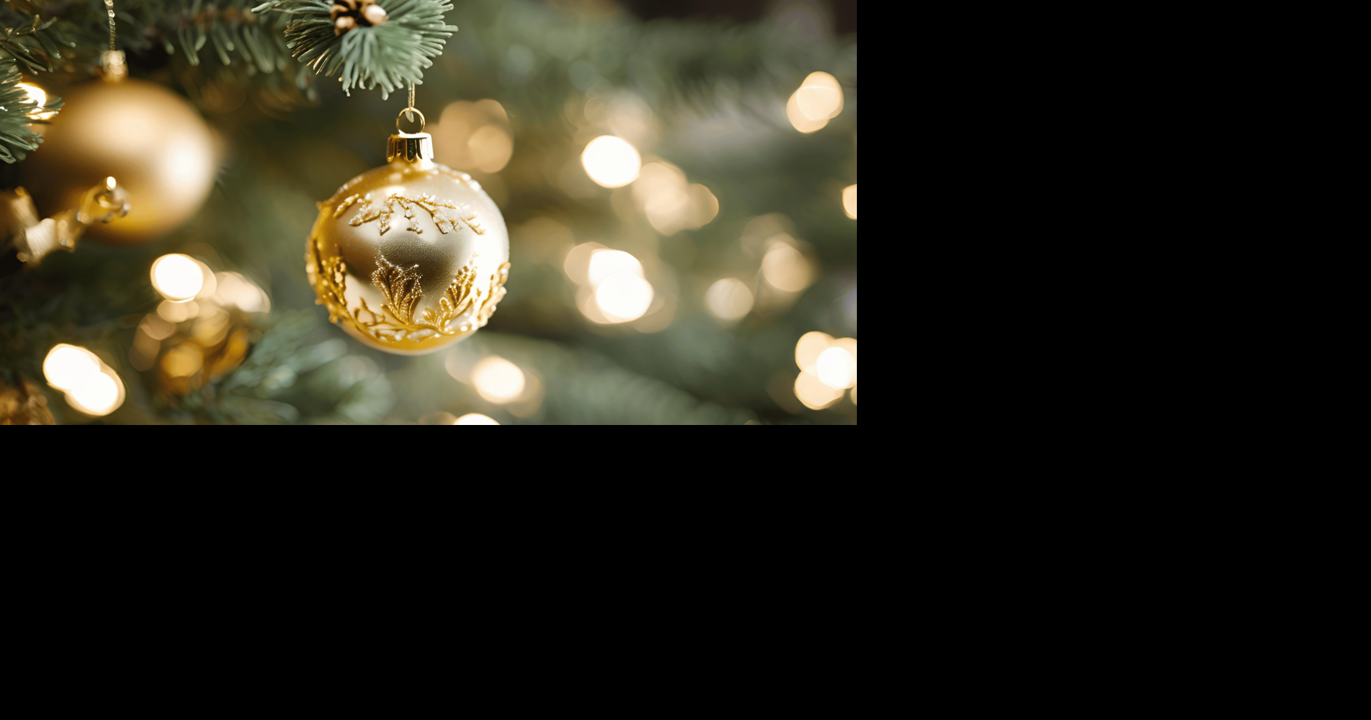 The SPOT in Meridian hosts 2026 Sensory Friendly Christmas Festival on ...