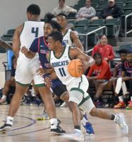 Columbus State takes 2 from ’Cats