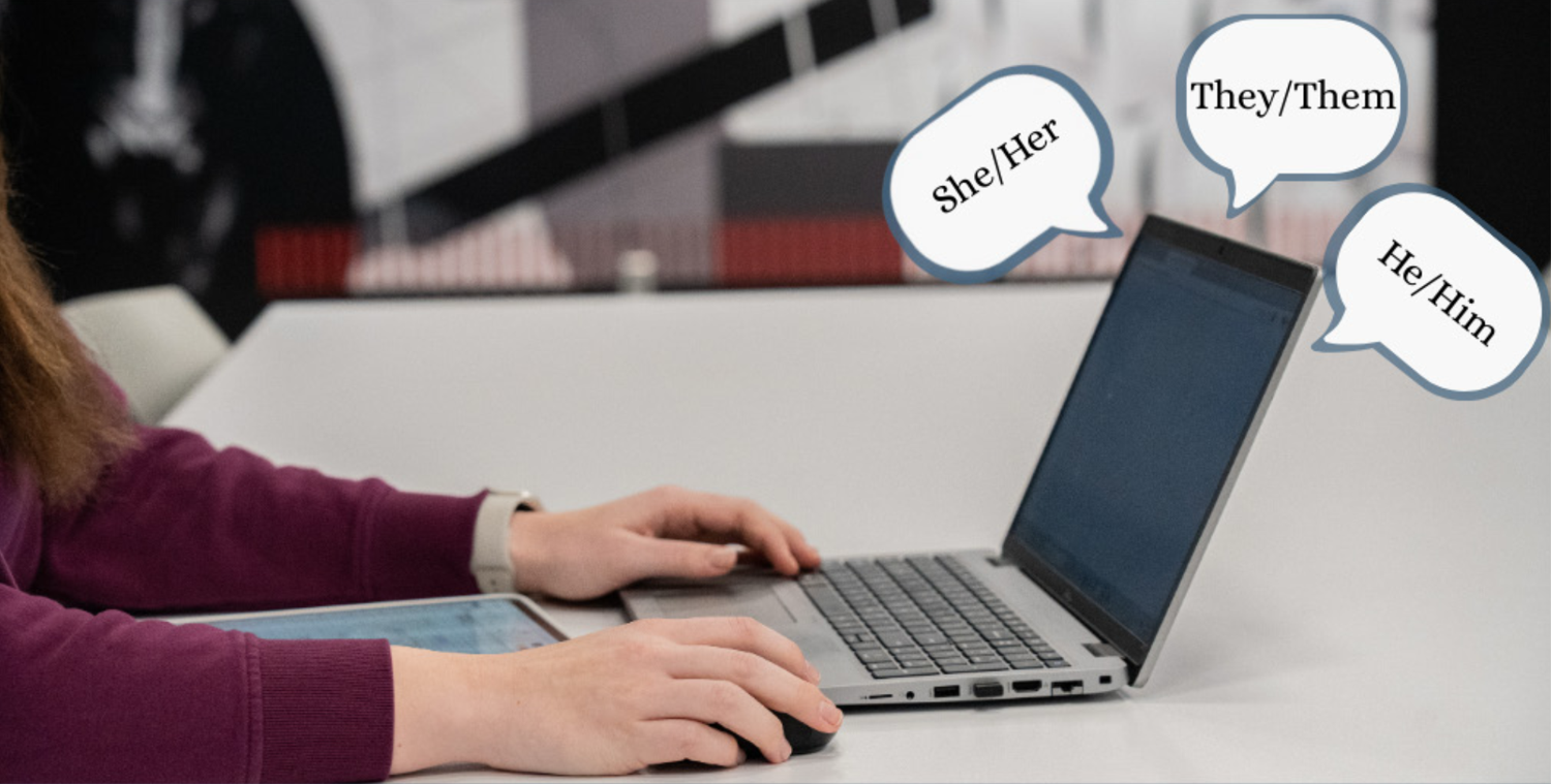 EXCLUSIVE: NU System is ‘no longer collecting or using preferred pronouns’ on Canvas amid ‘evolving social climate’