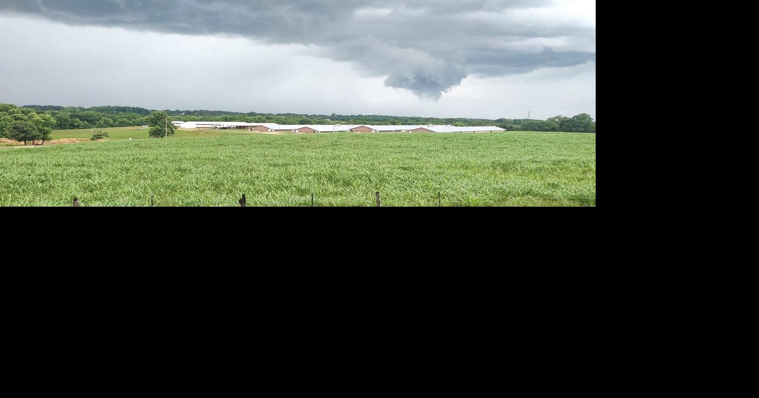 Monday storms bring damage, rumors of tornado addressed