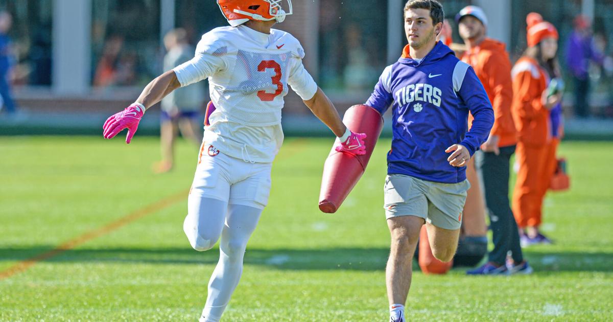 Jagger Gower Tigers’ Johnson arrested for reckless driving | College | upstatetoday.com