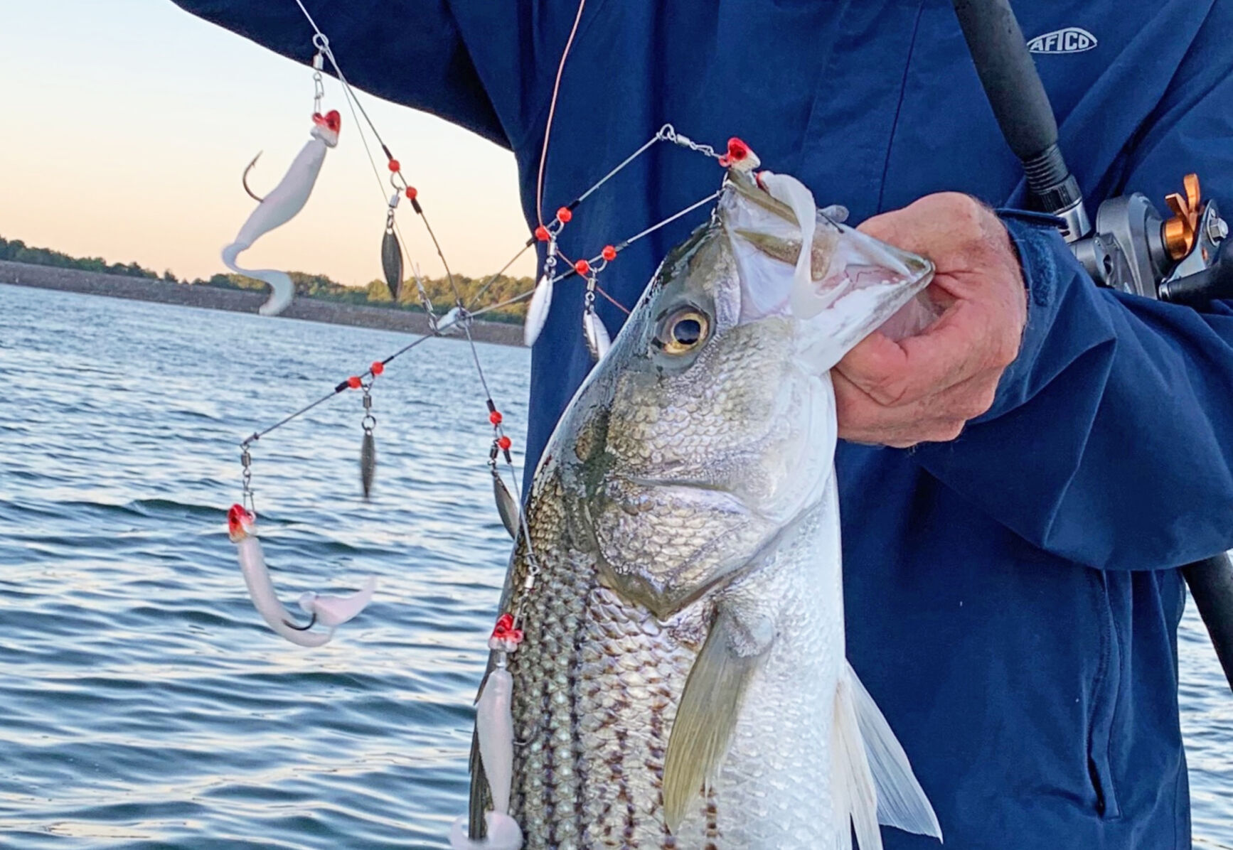 Upstate Sportsman: Umbrella rigs shine for cold-water fishing ...