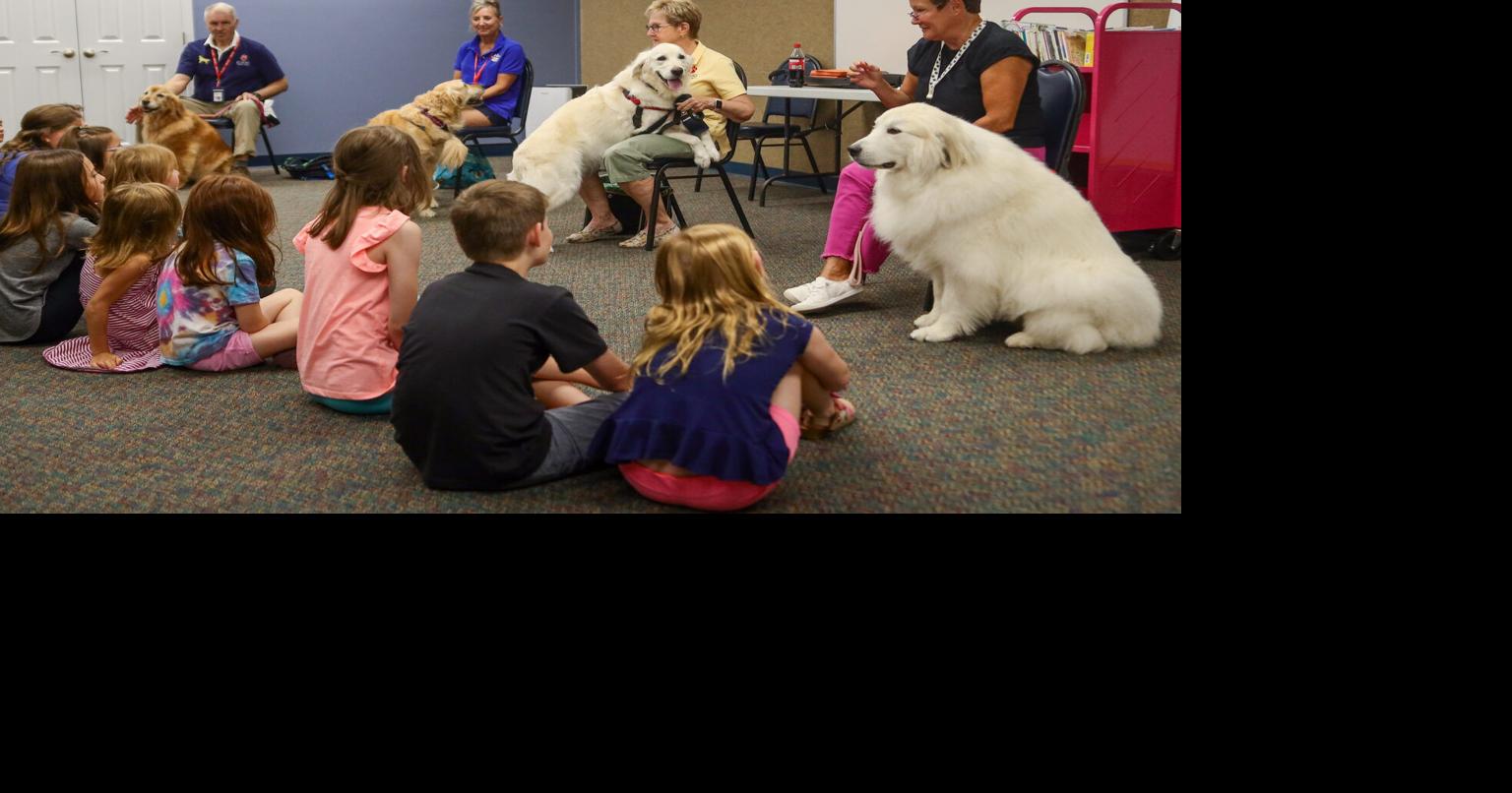Local kids read to therapy dogs at local library | News | upstatetoday.com