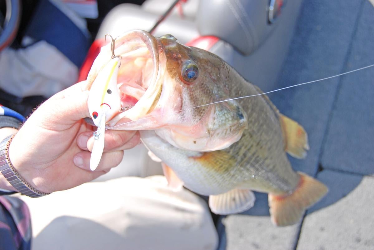 Outdoors: Bass fishing strategies for muddy water, Outdoors