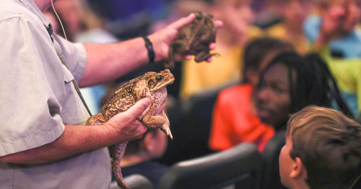 The Critter Keeper brings creepy- crawly fun