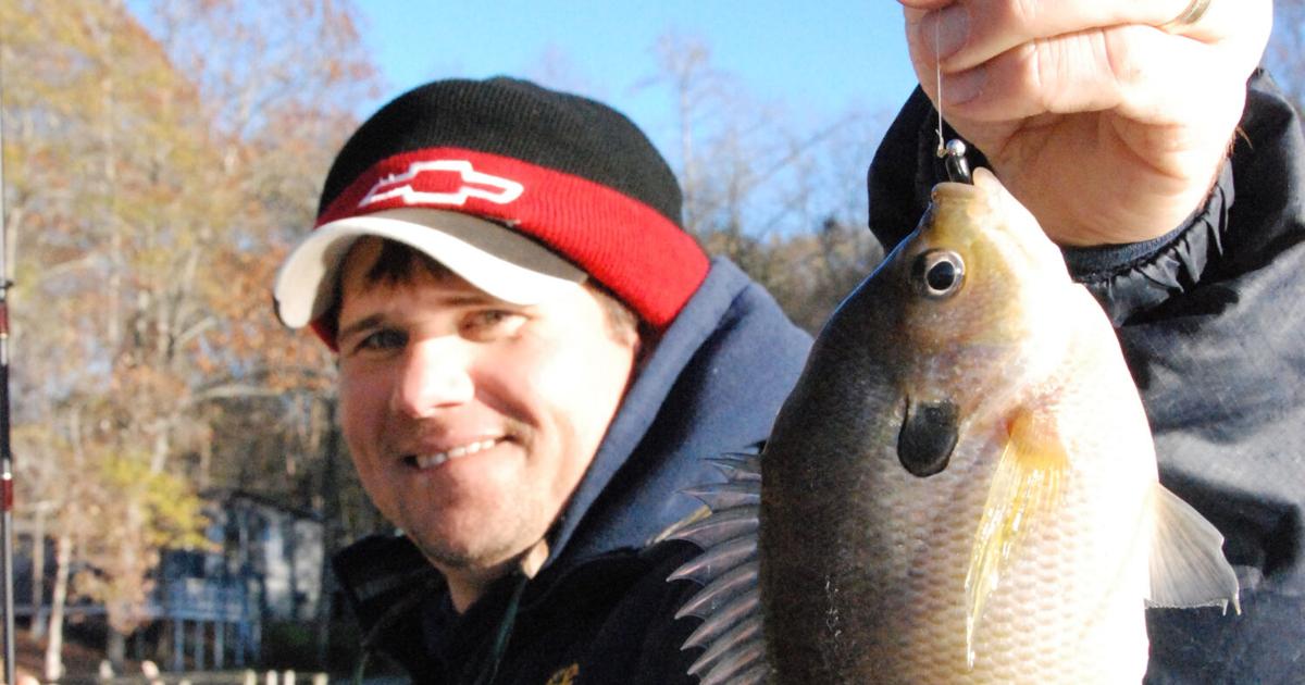 Late Winter Bream Fishing: Tips for Success in Upstate Lakes