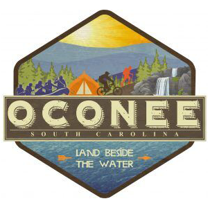 226 show for first day of early voting in Oconee - Vimarsana News