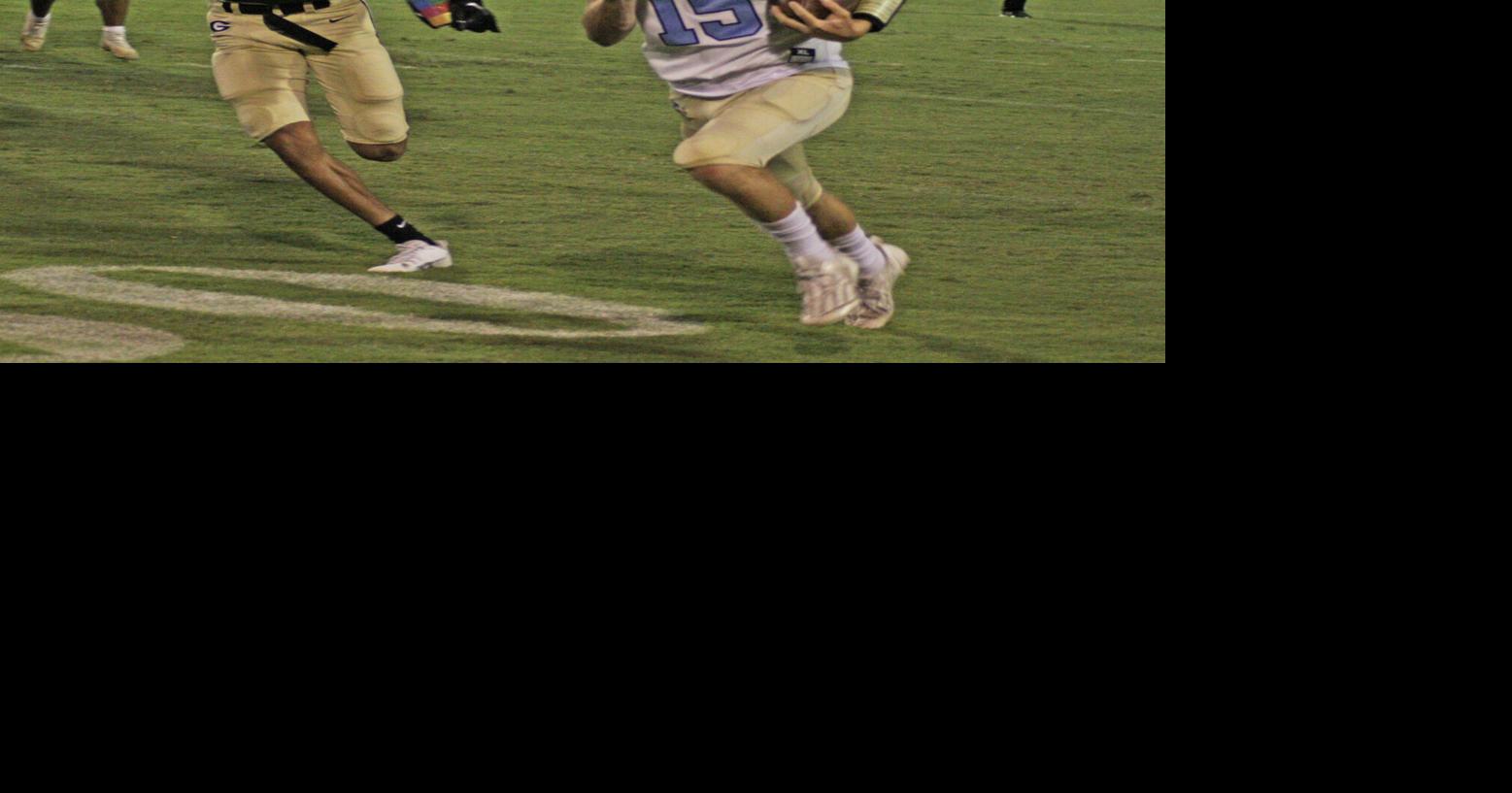 Turnipseed helps lift Lions to road win High School