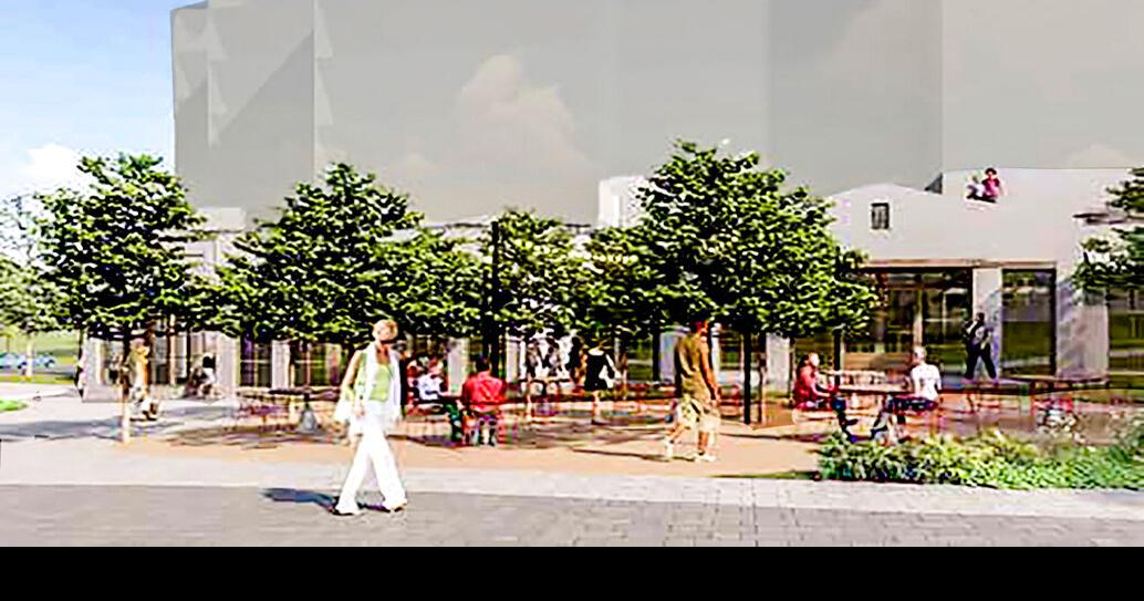 Clemson resident talks backlash, attacks on councilwomen News