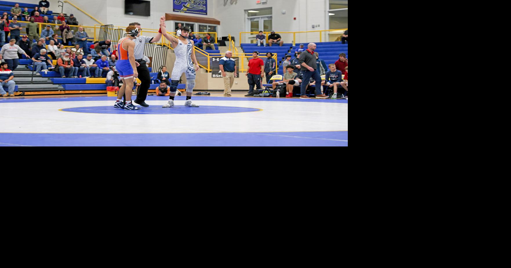 High school roundup: Area wrestlers punch tickets to state tourneys ...