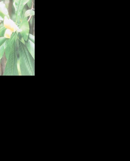 John Stanley Garton Obituaries