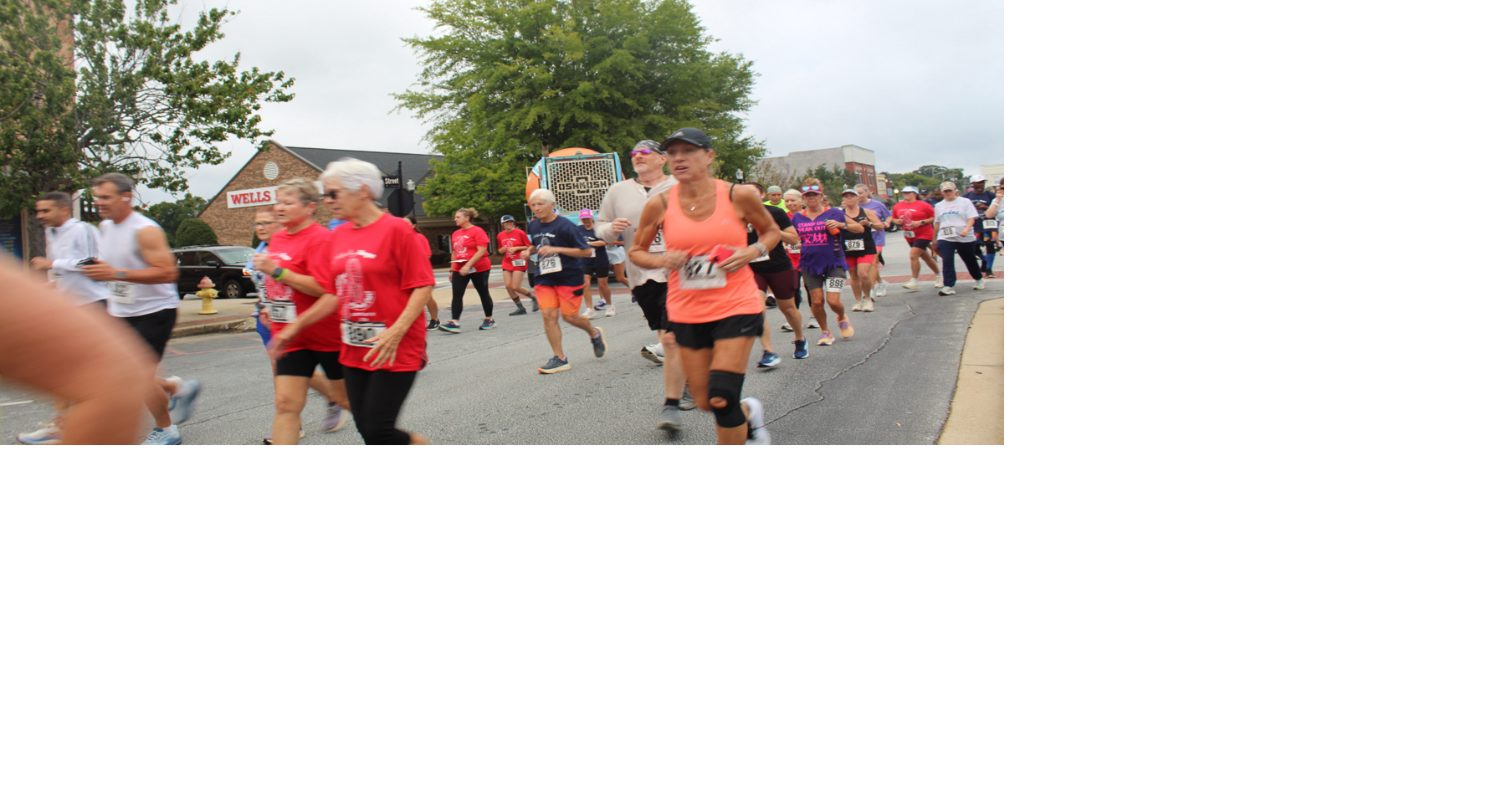 Nonprofit hosts 5K for domestic violence awareness, prevention