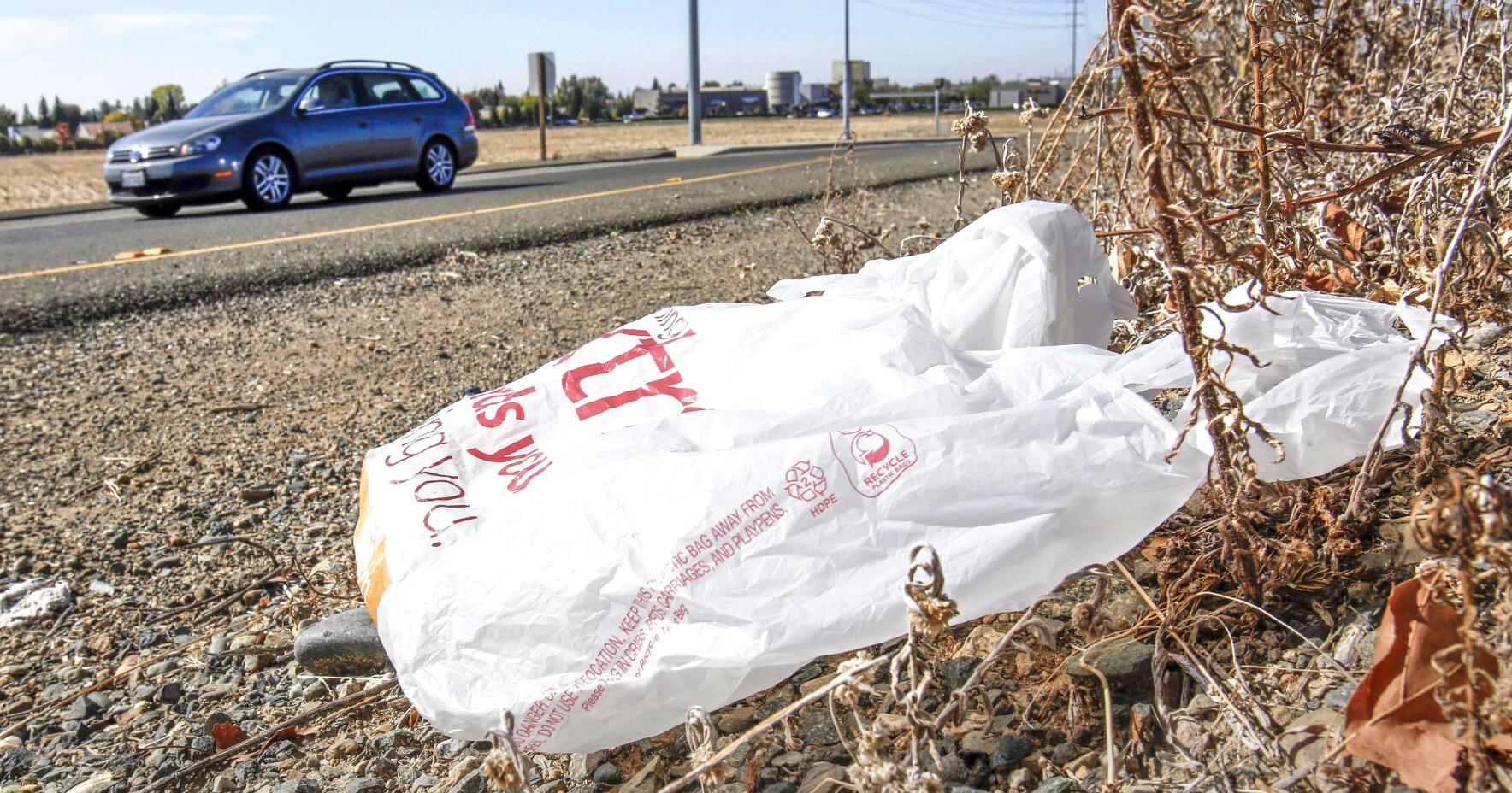 Parks to move away from plastic bottles, bags - Vimarsana News