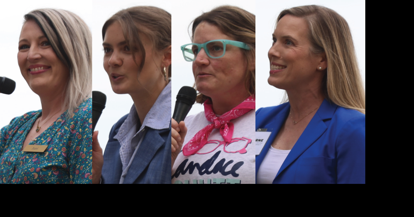 State House candidates talk platforms | News | upstatetoday.com
