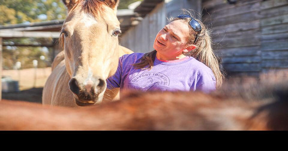 Rocky Ridge Horse Rescue is a nonprofit that has saved more than 100