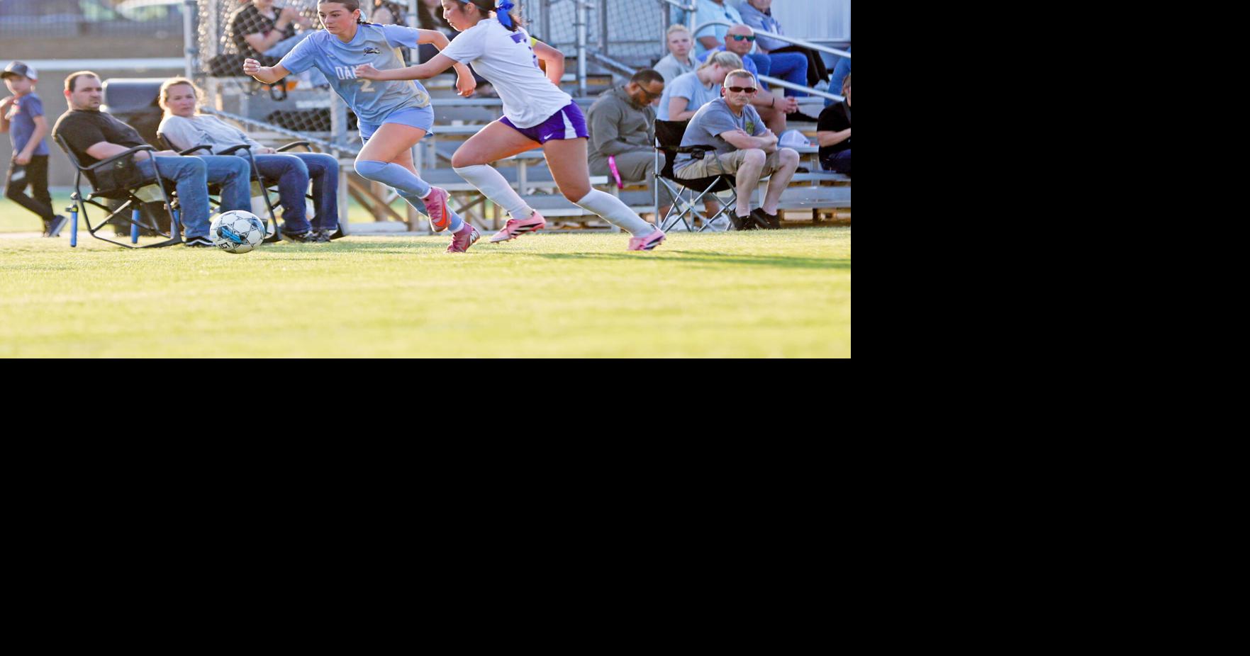 Lions blast Walhalla ahead of spring break | High School | upstatetoday.com