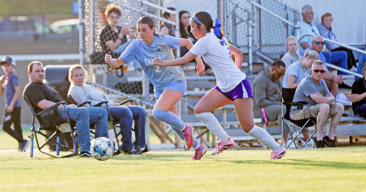 Spring Break High Lions blast Walhalla ahead of spring break | High School | upstatetoday.com