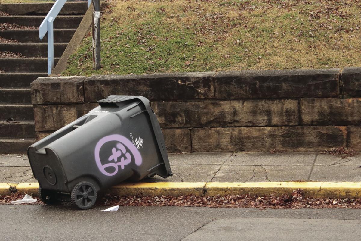 Overflowing Garbage Cans: A Health Risk and Threat to the Environment