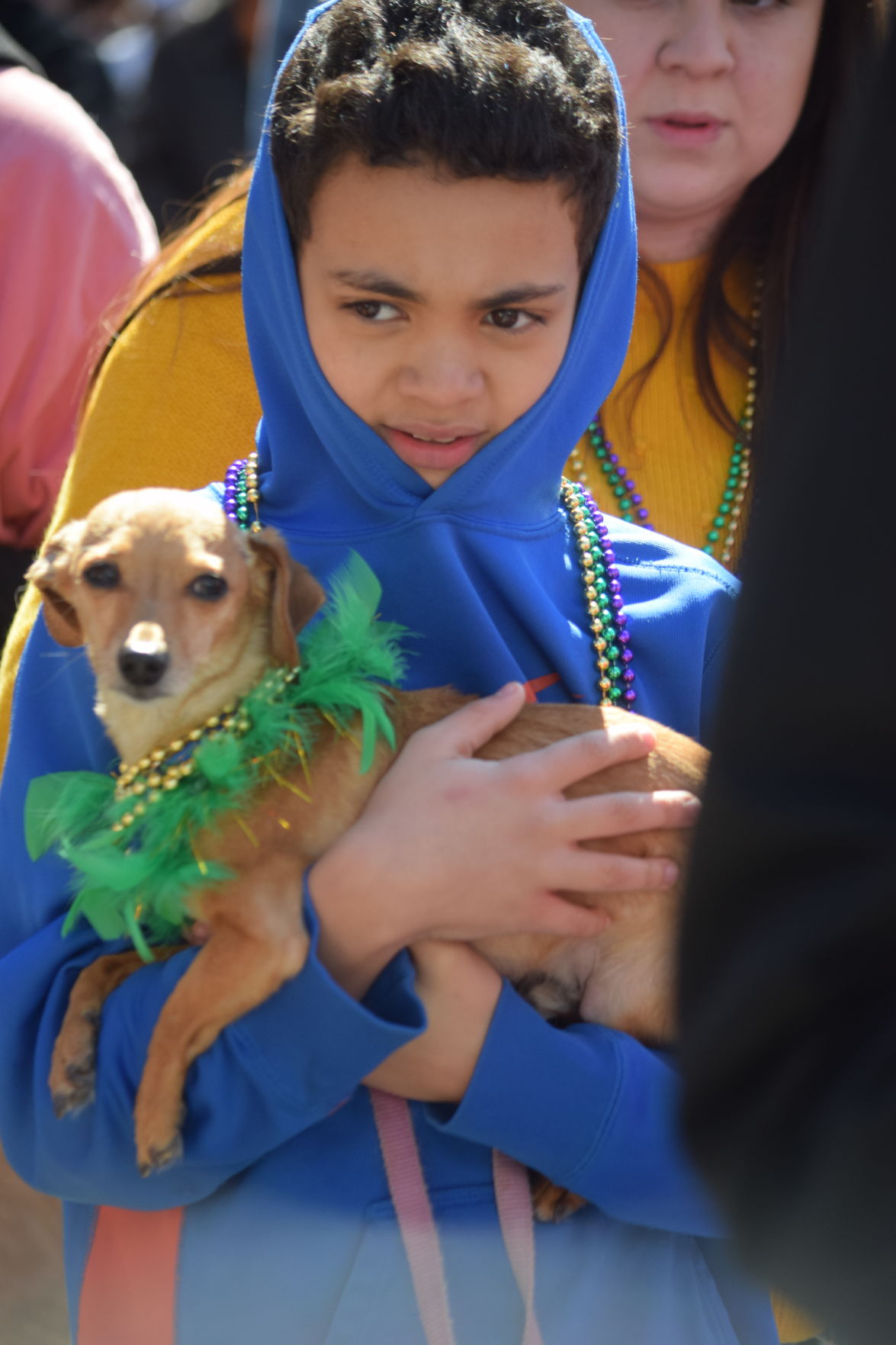 Mardi Growl