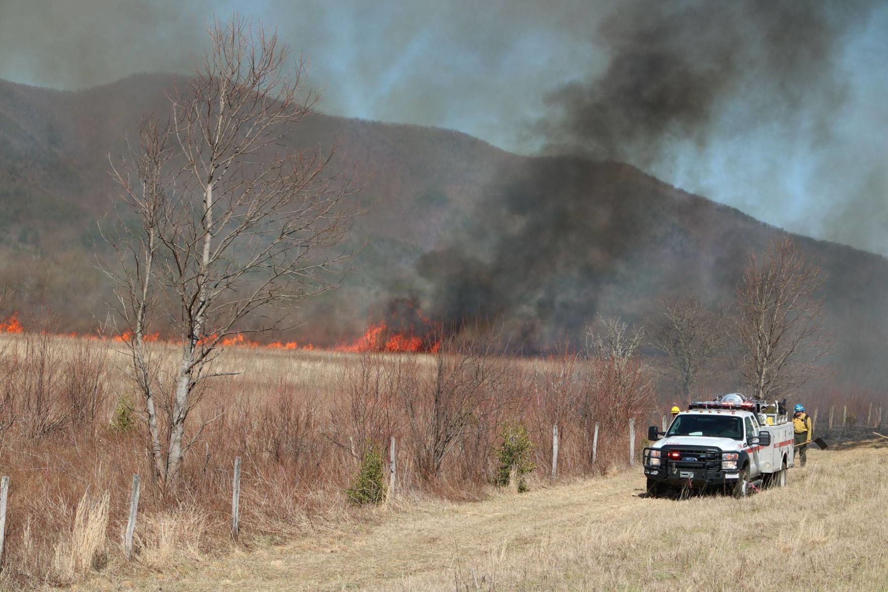 How prescribed burns are beneficial to the Great Smoky Mountains National  Park | City News | utdailybeacon.com