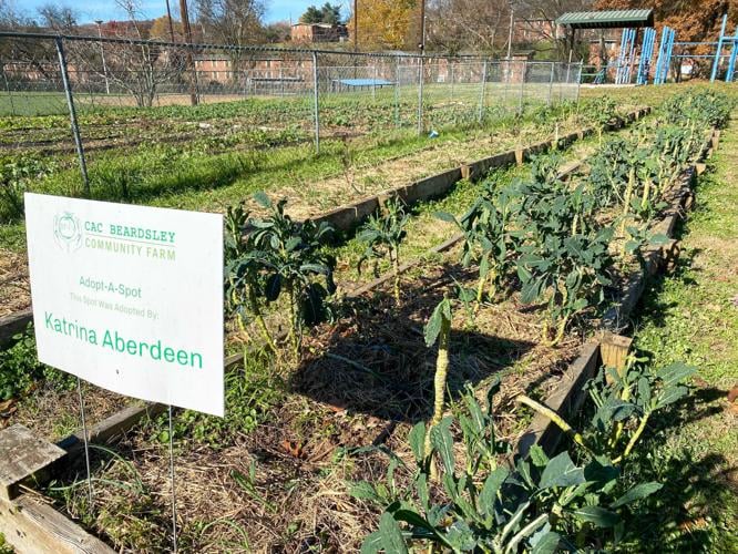 Beardsley Community Farm educates Knoxville about food security, gardening, justice Food