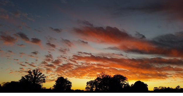 Ask A Scientist Why Are Knoxville Sunsets So Beautiful Opinion Utdailybeacon Com