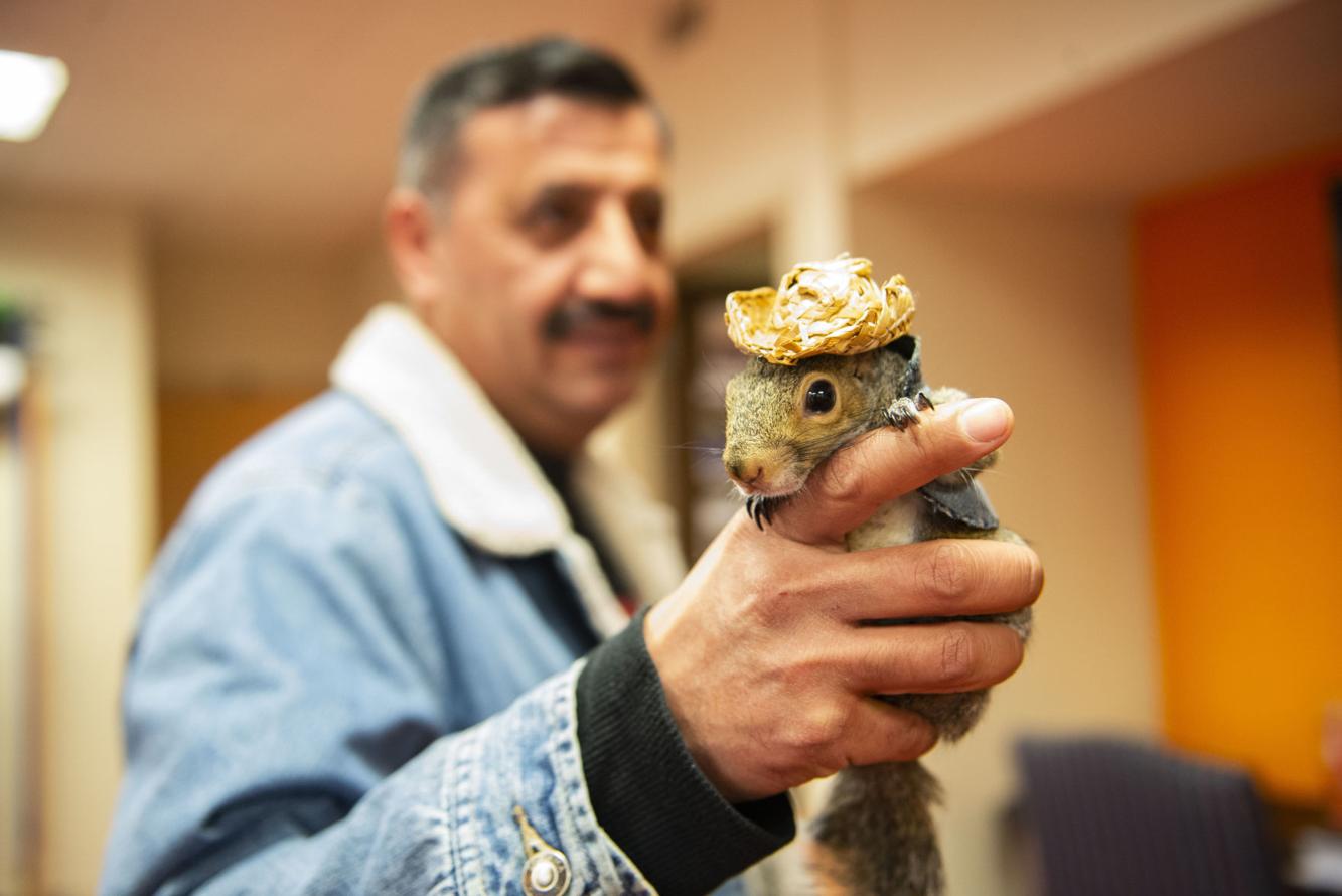 Still nuts for the Vols 3yearold Sinan the squirrel remains a