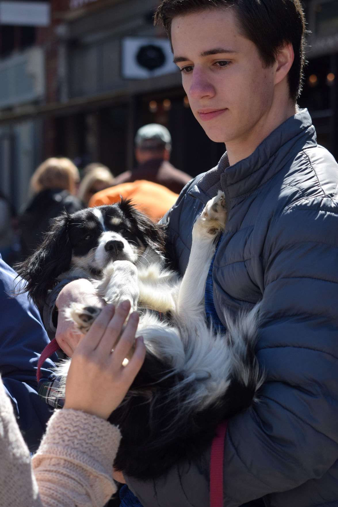Mardi Growl