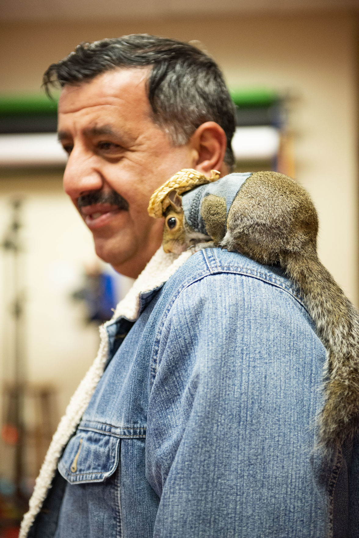 Sinan the squirrel aids Australian animals, sells Valentine’s Day cards