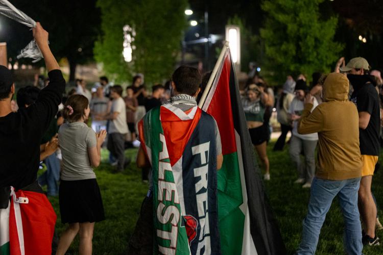Why pro-Palestine demonstrators at the University of Tennessee were arrested and what comes next