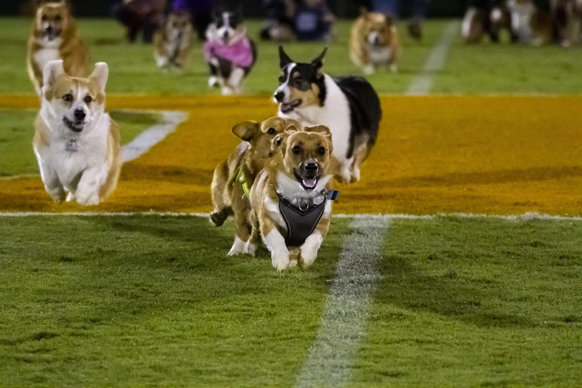 The Lady Vols vs. UGA