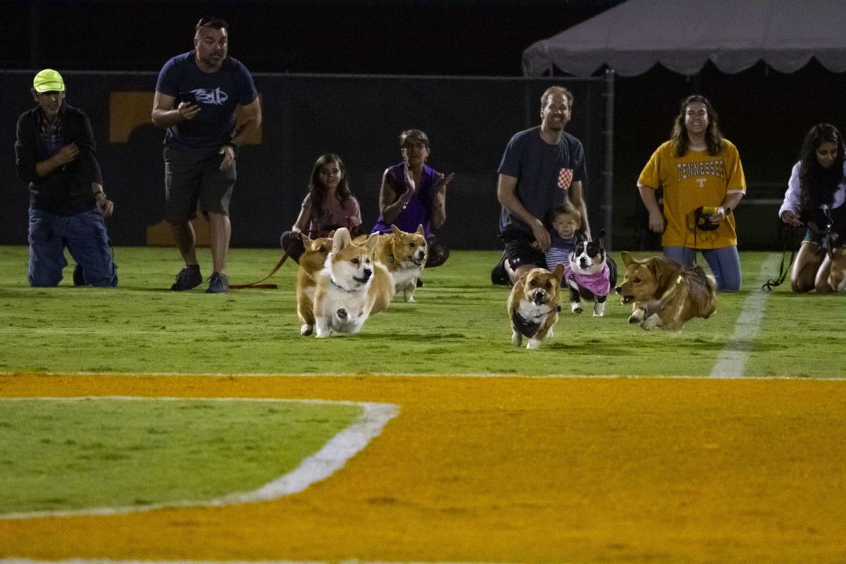 The Lady Vols vs. UGA