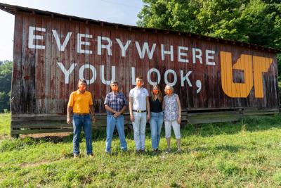 "Everywhere You Look, UT" mural campaign