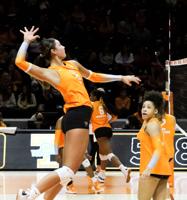 Photo Gallery - Lady Vol Volleyball vs Ole Miss