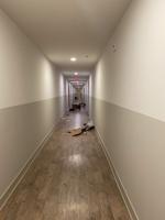 ‘Horror movie-like’: Students relocated to Aspen Heights discover undesirable living conditions