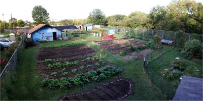 Community Farm Combats Knoxville S Food Desert Arts And