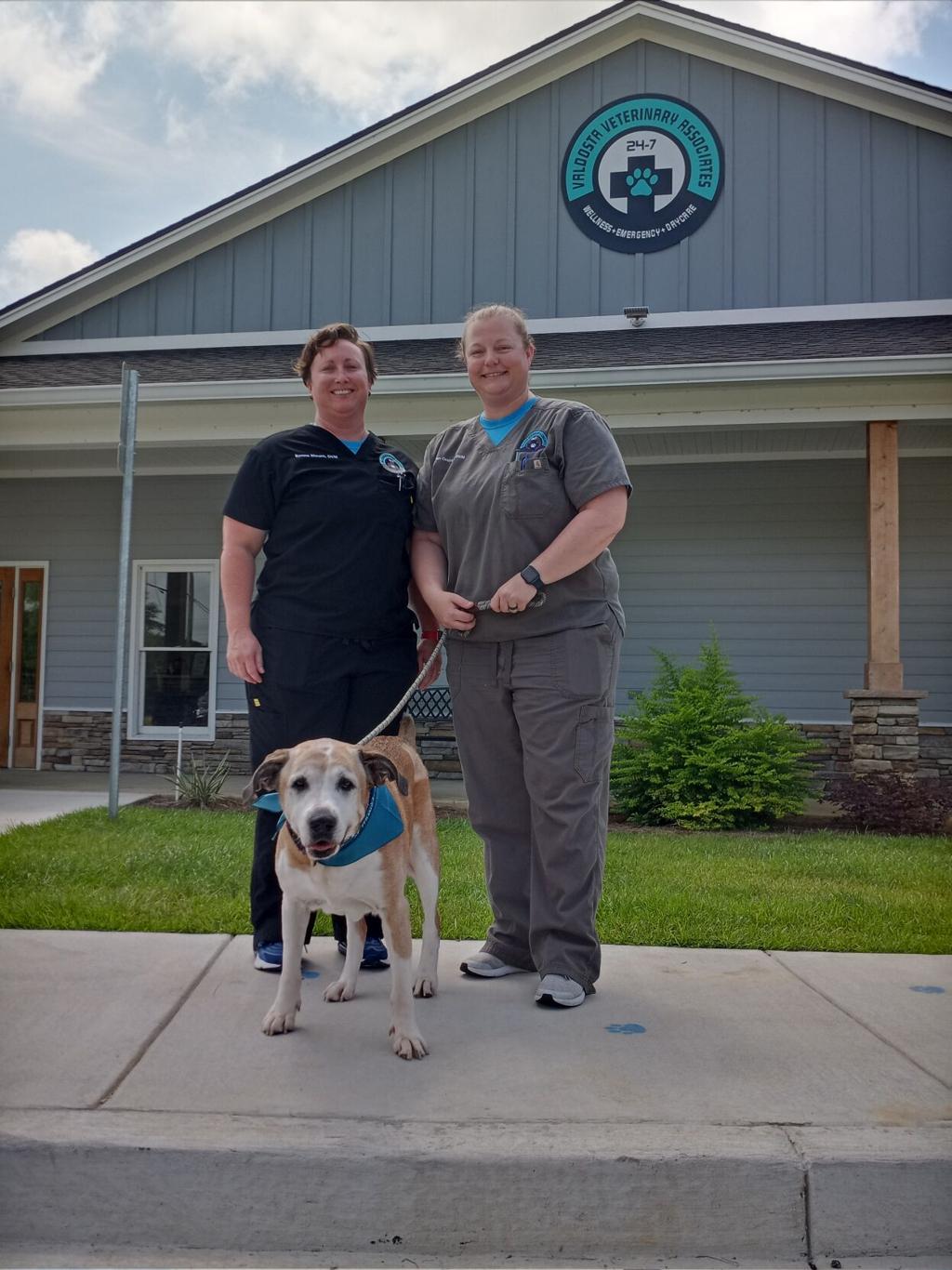 Pet Vets: Animal hospital provides critical care, boarding | News |  