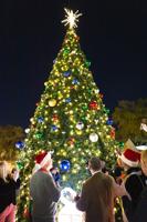 City of Valdosta and Lowndes County Christmas Tree Ceremony