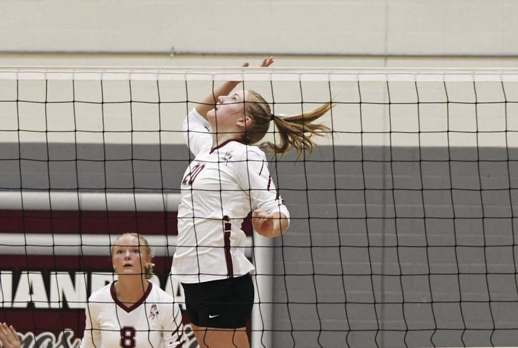 Lynnae Green, Shenandoah