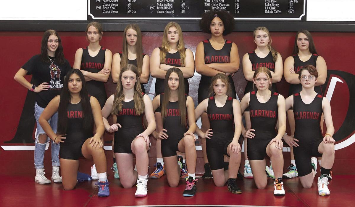 Gerdts leads Cardinals to runnerup finish at Treynor Tourney