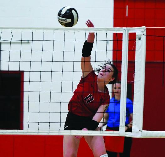 Ashlee Moseley, Sidney