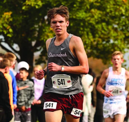 Carter Buttry, Shenandoah