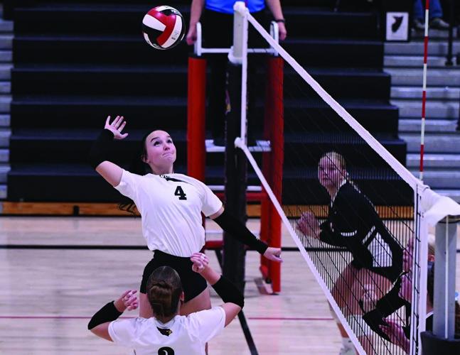 Kylie Meier, All-Sports All-Area