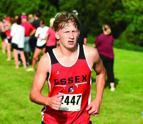 Jesse Johnson Wityk, Essex
