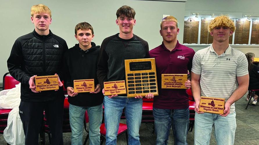 Shenandoah BWR Awards