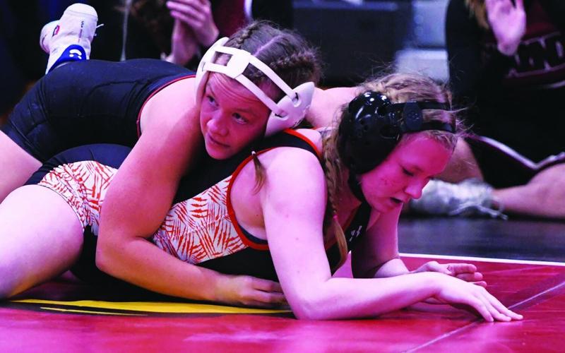 Lily Weinreich, Clarinda