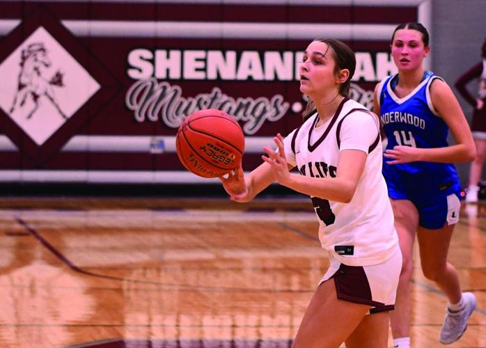 Megan Bosley, Shenandoah