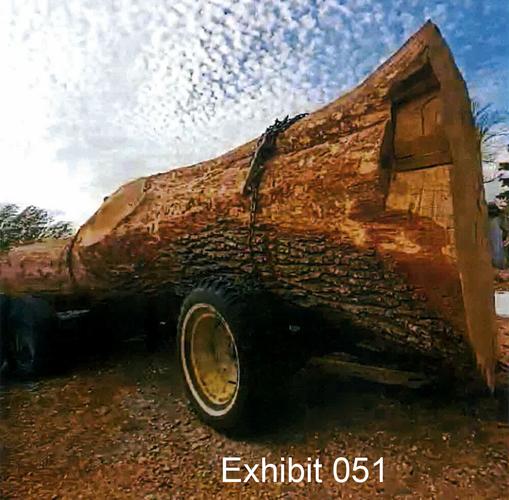 ferguson tree exhibit2