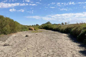 DNR imposes new requirements on water utility near dry river